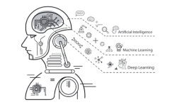 Animation